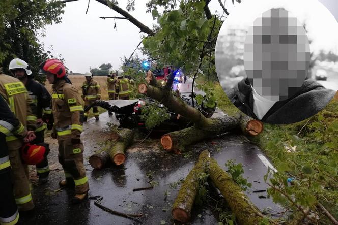 Koszmarny wypadek w powiecie świecki, Mężczyzna zginął na oczach rodziny przygnieciony konarem