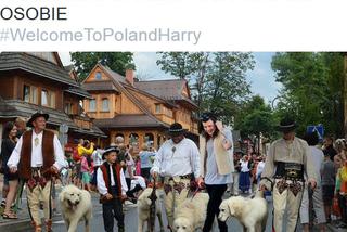 #WelcomeToPolandHarry. Harry Styles w Polsce? 6 miejsc, w których internauci widzieliby wokalistę One Direction!