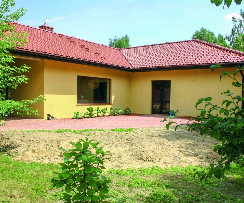 Projekt obsadzenia słonecznego tarasu