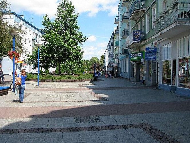 5. Piła 