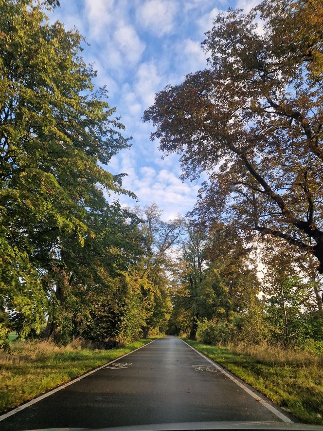 To miejsce jest 40 minut od Gdańska. Ma klimat niczym z Harrego Pottera!