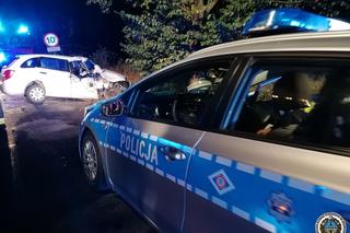 Sławiec. Koszmarny wypadek osobówki. Po zderzeniu z drzewem cztery osoby w szpitalu [ZDJĘCIA]