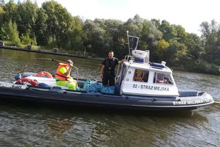 Sprzątanie dawnej plaży Mieleńskiej