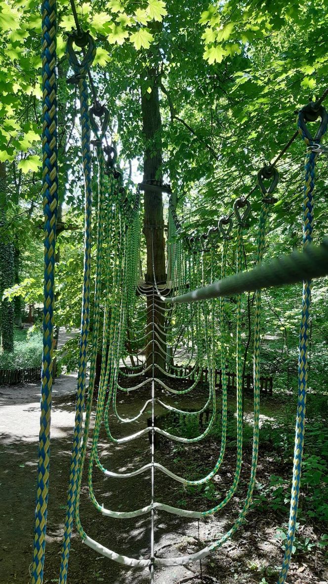 Park Linowy Barbarka