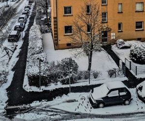 Kiedy spadnie śnieg w Bydgoszczy? Według prognozy pogody tak zmieni się krajobraz za oknem 