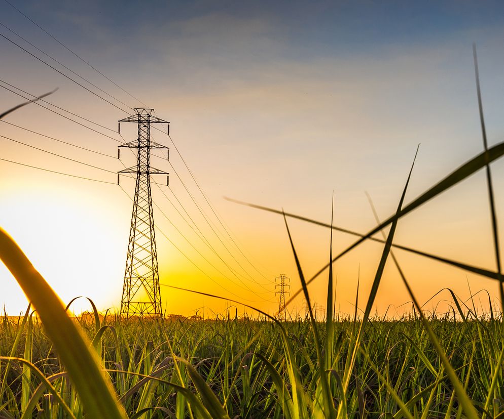 wniosek o zamrożenie cen prądu dla rolników 2023