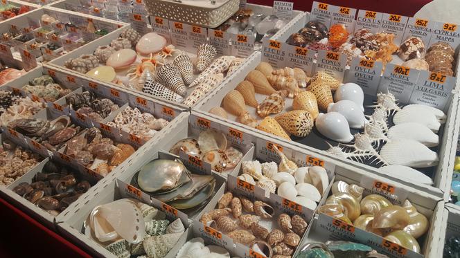 Giełda Minerałów w Sosnowcu