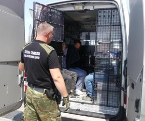 32 Syryjczyków nielegalnie wjechało do Polski. Zatrzymano ich po pościgu