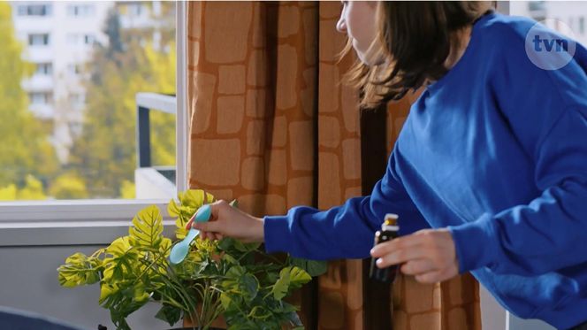 Na Wspólnej odc. 4053. Ania (Sonia Mietielica)