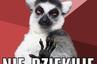 Rok szkolny tuż tuż! Zobacz najlepsze memy o końcu wakacji