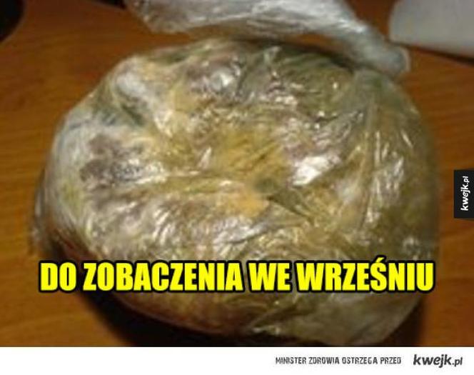 Trwa odliczanie do końca roku szkolnego