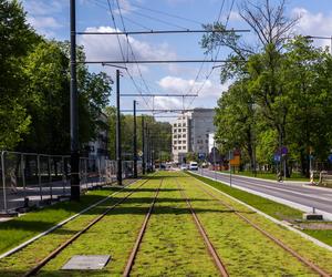 Nowa linia tramwajowa w Warszawie już prawie gotowa! Wiemy, kiedy pojedzie tu pierwszy tramwaj. Jest data