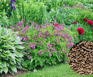 Jak i kiedy stosować obornik granulowany?  Jakie rośliny nim nawozić?