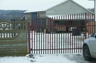 Pies zagryzł dziecko w Komorowie