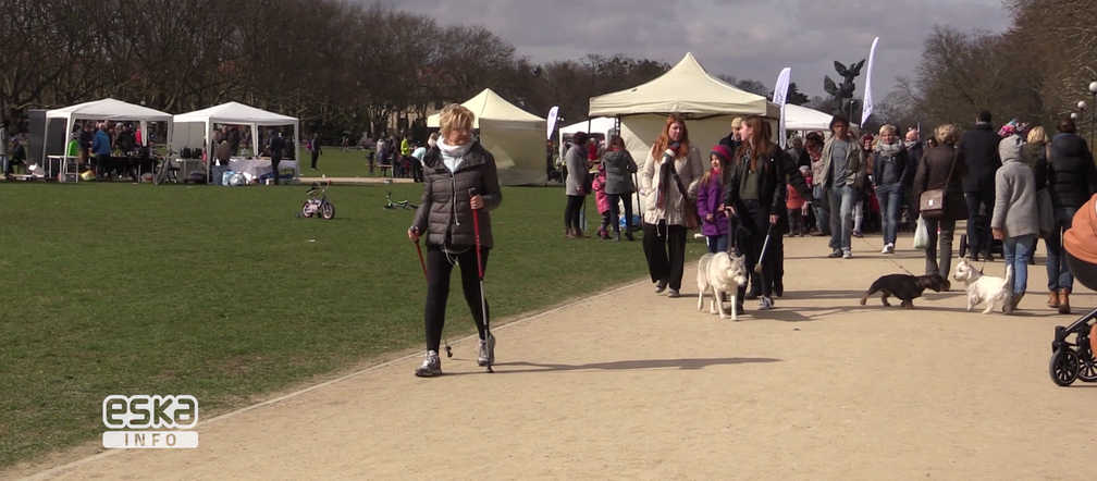 Krokusowy weekend w Szczecinie