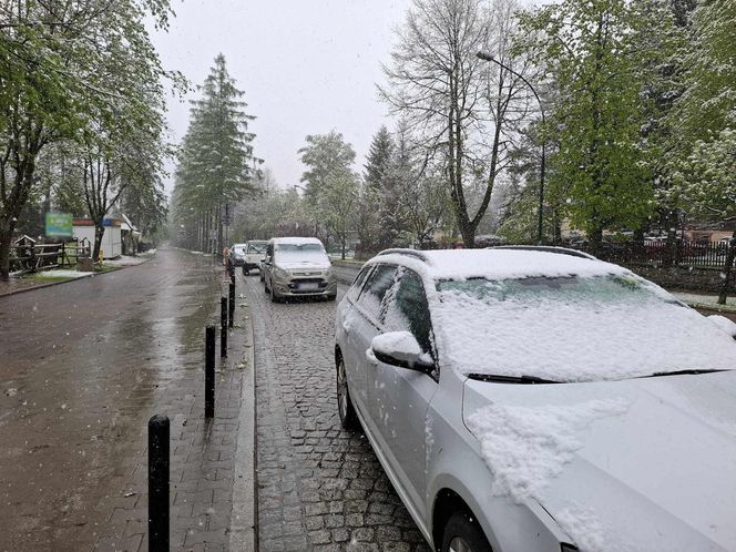 Atak zimy w maju. Śnieg w Zakopanem