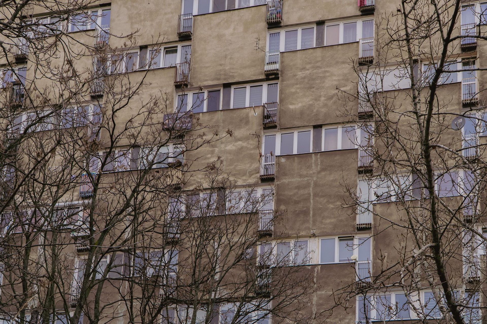 Grabiszyńska 133 we Wrocławiu. Fot. Julia Dragović