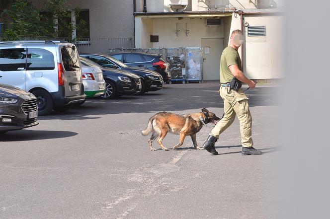 Kaczyński boi się zamachu. Służby z bronią i psem pod siedzibą PiS