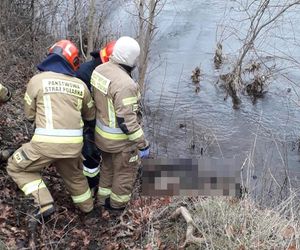 Makabryczne odkrycie w Pomiechowie. W rzece pływały ludzkie zwłoki