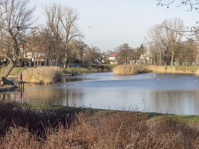 Wola bez woli, Włochy bez Włochów... Co oznaczają nazwy warszawskich dzielnic? [GALERIA]