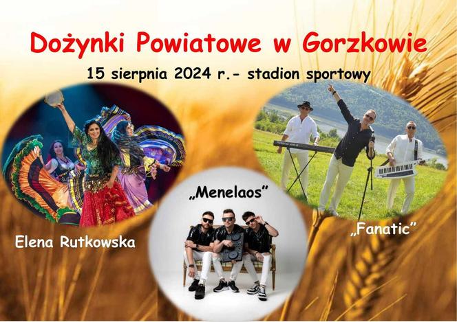 Dożynki 2024 niedaleko Lublina! Gdzie warto się wybrać w sierpniu i wrześniu? Mamy LISTĘ!