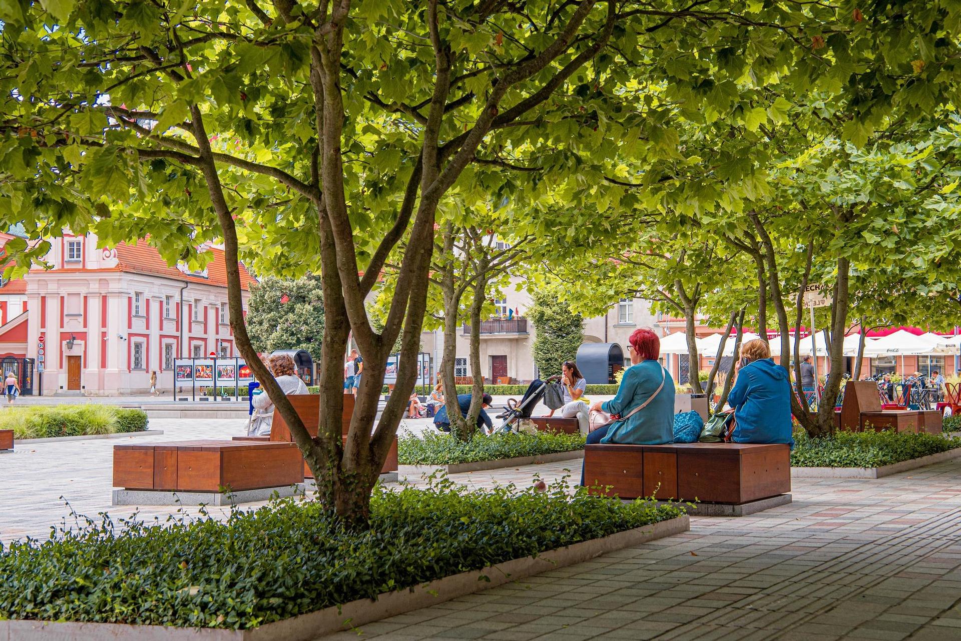 Plac Kolegiacki w Poznaniu