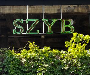 Neon Szyb na Bolko Loft w Bytomiu