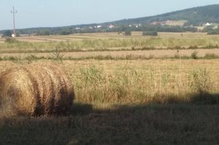 Rolnicy w niepewności. Susza może uderzyć wcześniej niż zwykle