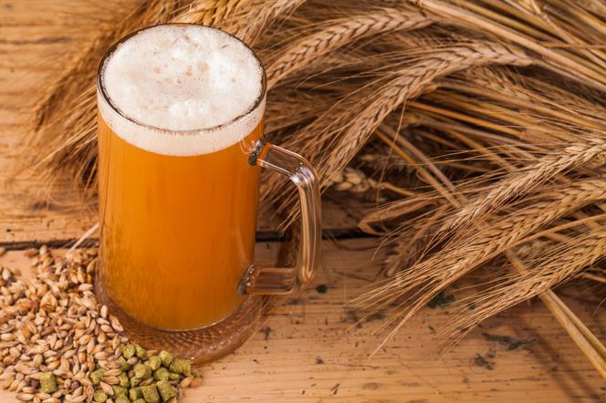 Domowe drożdże z piwa: jak zrobić drożdże z jasnego piwa?