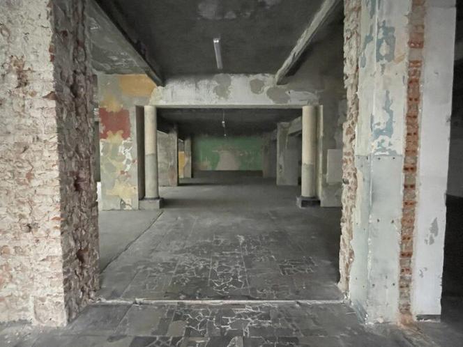 Przetarg na lokal użytkowy Domu Korzeniewskich
