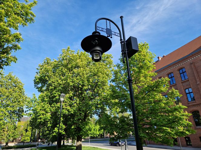 Plac Kościeleckich rozkwita na wiosnę. Bydgoszczanie chętnie wybierają go na spacer