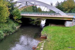 Nieznana substancja zatruła rzekę Kłodnica w Gliwicach