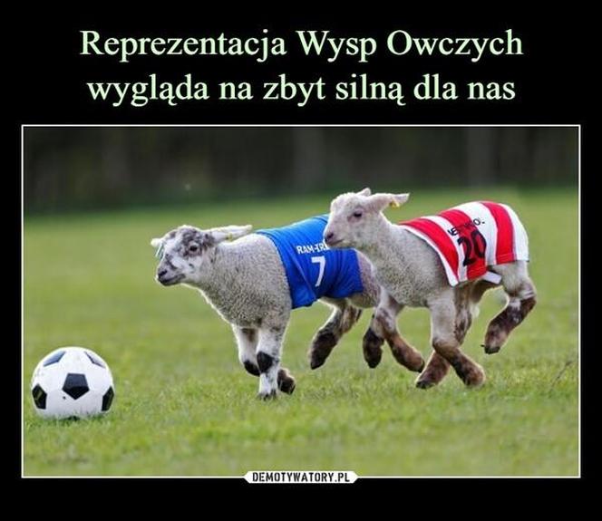 Memy przed meczem Polska - Wyspy Owcze