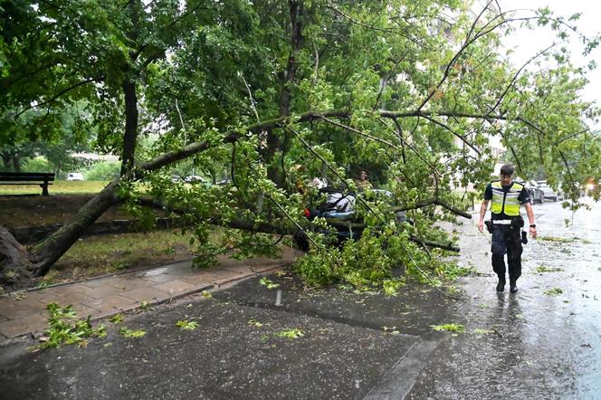 Zachodniopomorskie: Po burzach i ulewach ponad 160 interwencji strażaków