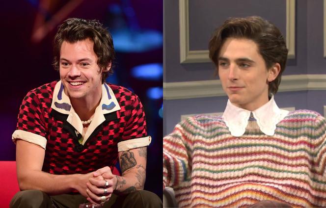 Timothee Chalamet jako Harry Styles