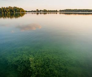 Dzierżno Małe to ukryta leśna perła