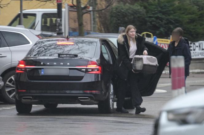 Limuzyną SOP zawiozła kota do weterynarza