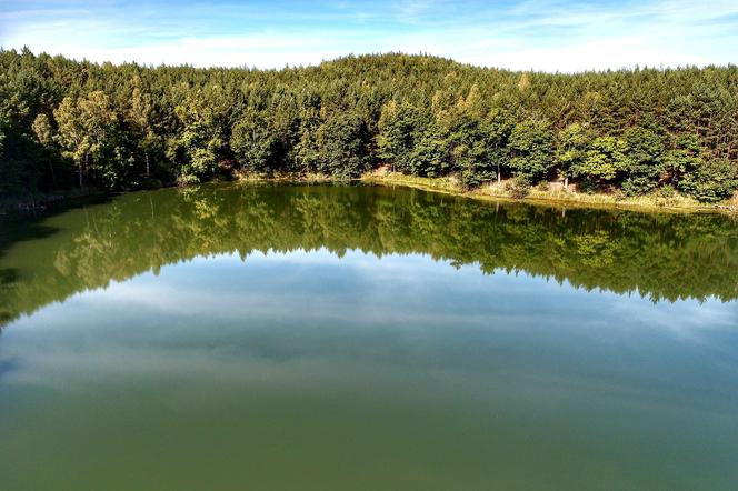 Cud natury ukryty w Lubuskiem! Jak dojechać nad jezioro w kształcie serca? Zobaczcie na te zdjęcia!