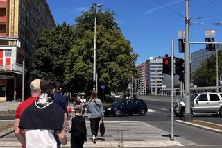 Plac Rodła w Szczecinie jest niebezpieczny? Mieszkańcy nie patrzą na przejścia dla pieszych! 