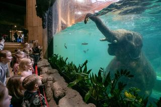 Majówka w Orientarium ZOO Łódź. Egzotyczna przygoda dla całej rodziny