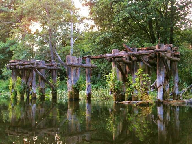 Rzeka Drwęca to nie tylko spływy kajakowe. Tu są piękne widoki i tereny ...