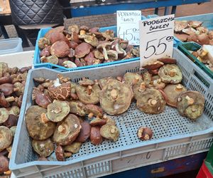 Ceny grzybów na Nowym i Starym Kleparzu w Krakowie