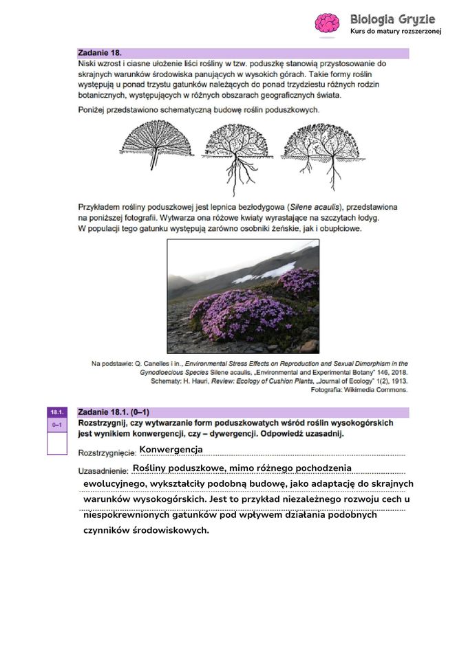 Matura 2025 - biologia