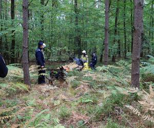 Trąba powietrzna przeszłą pod Warszawą. Pole namiotowe zniknęło w powierzchni ziemi. 26 osób potrzebowało pomocy