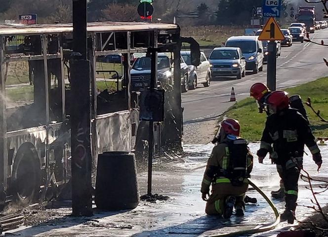 Autobus miejski spłonął doszczętnie na środku ulicy! Szok w Łodzi [ZDJĘCIA]