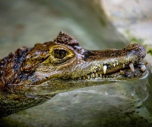 Najciekawsza atrakcja dla dzieci w Łodzi według AI. Jedyne takie miejsce w Europie
