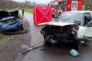 Kierowca volkswagena nie żyje, 4-letnie dziecko zabrał śmigłowiec! Makabryczny wypadek w Łódzkiem