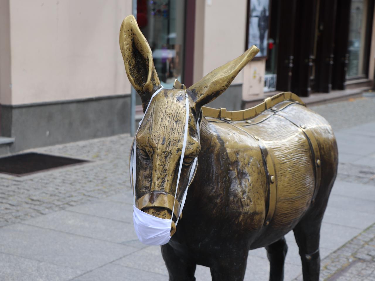 Kolejna partia maseczek wylądowała w skrzynkach torunian. Jest też coś dla osiołka...