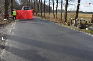  Makabra na Śląsku. 34-latek huknął w drzewo, z auta została miazga. Mężczyzna nie żyje