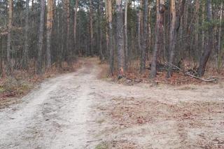 Jechał quadem przez las. Zginął na miejscu. Pasażer w szpitalu